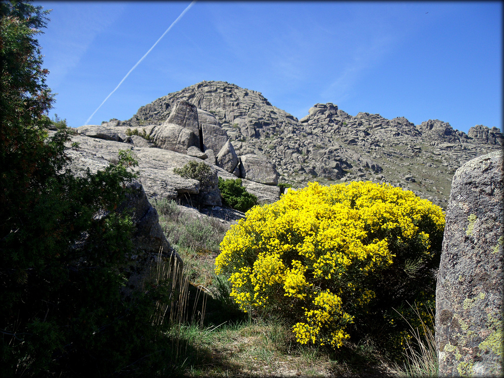 Sierra de La Cabrera