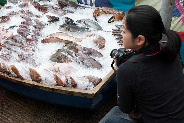 Tourist with Fish Stall at Mevagissey