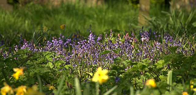 DSC08003 (2)