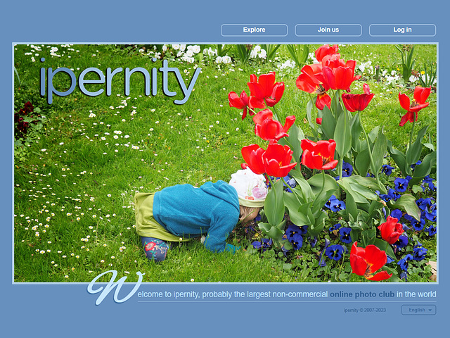 ipernity homepage with #1490