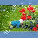 ipernity homepage with #1490