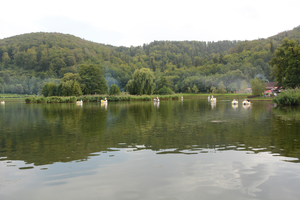 Romania, BBQ Day at Adventure Park Brașov