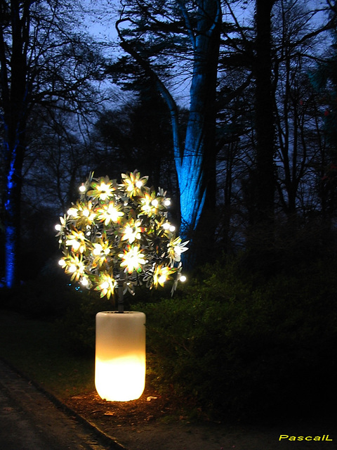 ouf un peu de lumière !