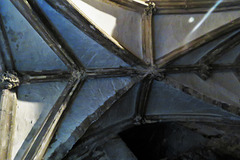 gloucester cathedral (249)