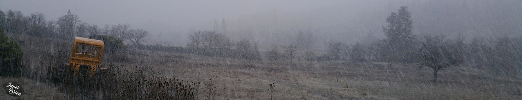 snowing