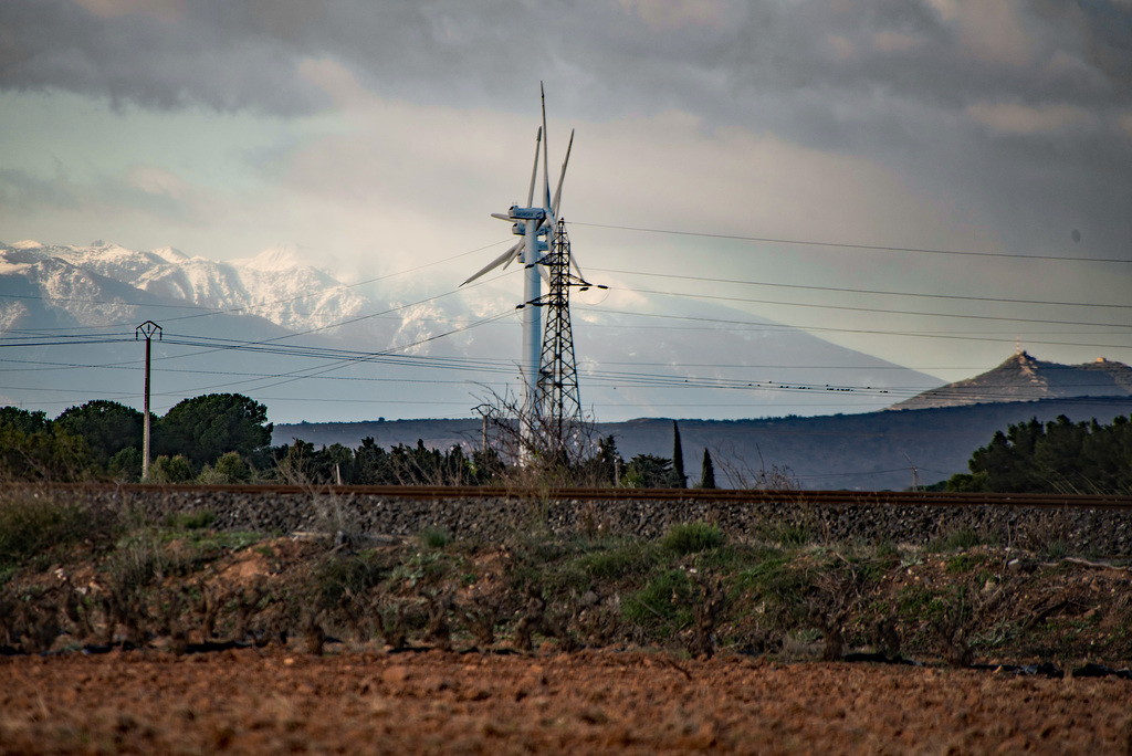 Eoliennes de Rivesaltes en avant plan du Mont Canigou
