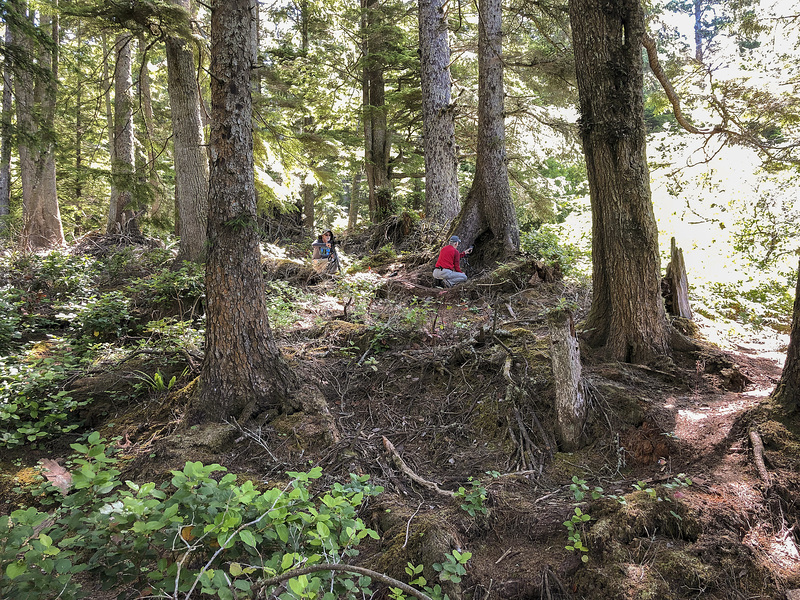 Jim and Walter photographing Corallorhiza maculata var. ozettensis (Ozette Coralroot orchid)