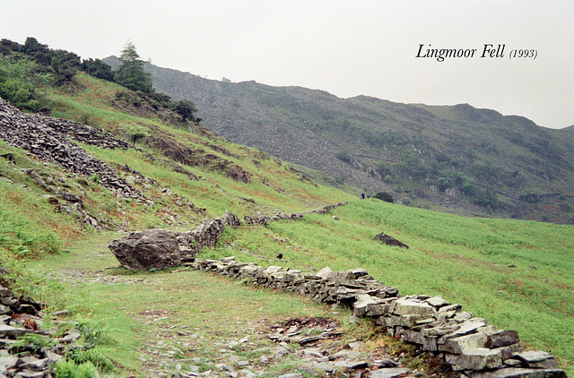Lingmoor Fell (Scan from 1993)
