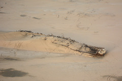 Namibia, The Wreck of the Ship Edward Bohlen in the Namib Desert Sands