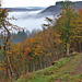 Autumn Mist in the Dale