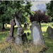 Magravine Cemetery, Fulham