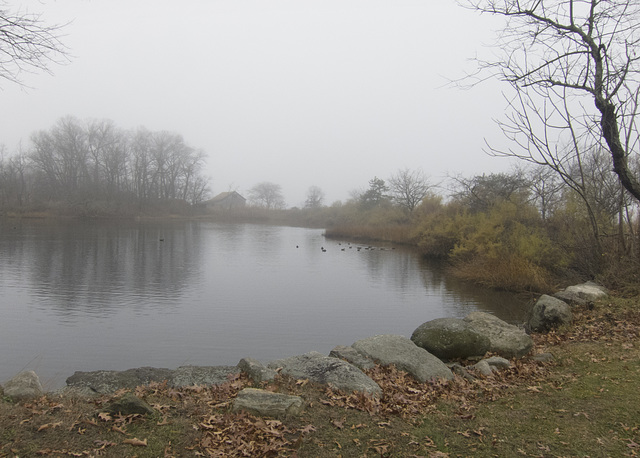 greenwich-toodspoint-pond23-12-15