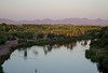 Yuma Wetlands (#0876)