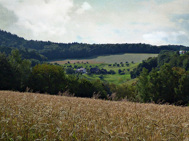 Der Odenwald