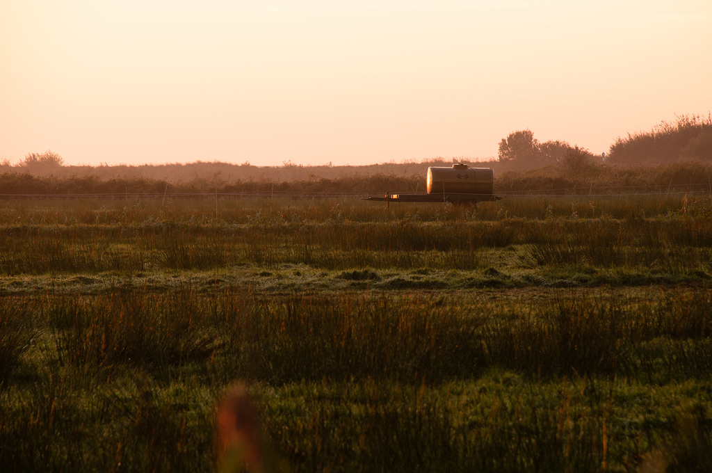 Borkum-2016-6