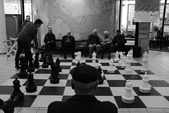 Playing chess in the library of Rotterdam