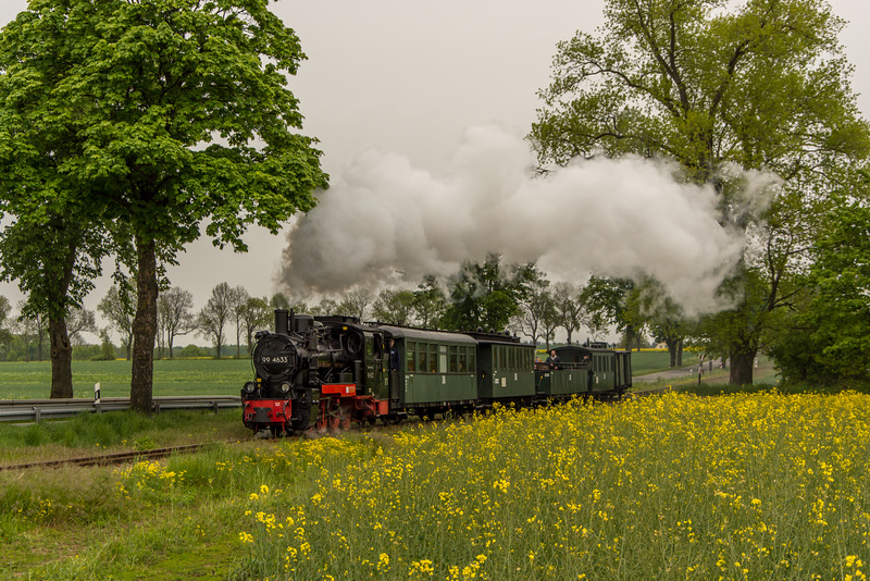 (136/365) Keine Rapsernte während der Fahrt