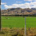 New Zealand