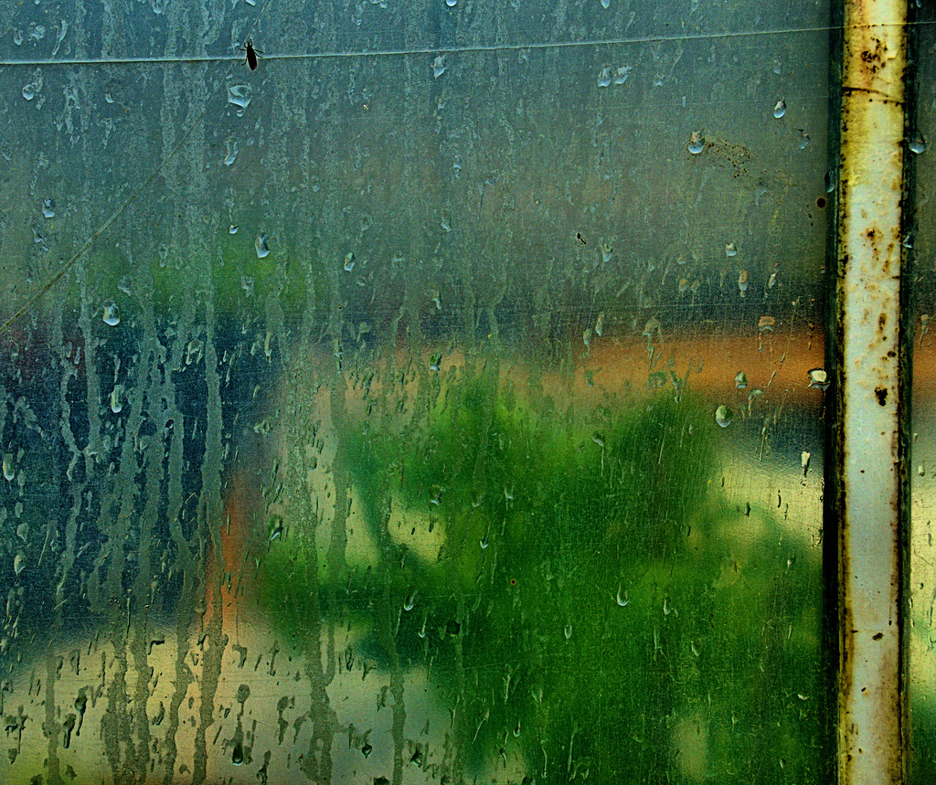 Polytunnel In And Out
