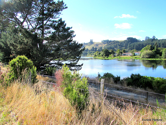 Down by the Waikato River.