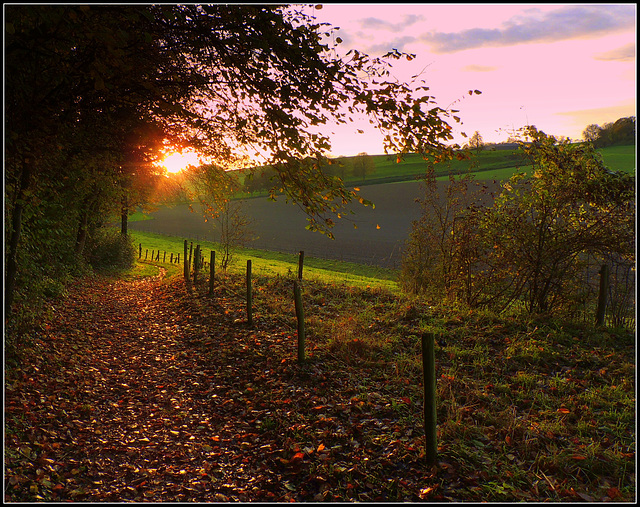 HFF-for everyone-24-9-2021-Verloren kost valley(lost cost valley)