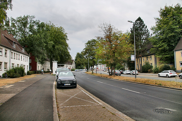 Rappaportstraße (Marl) / 27.08.2022