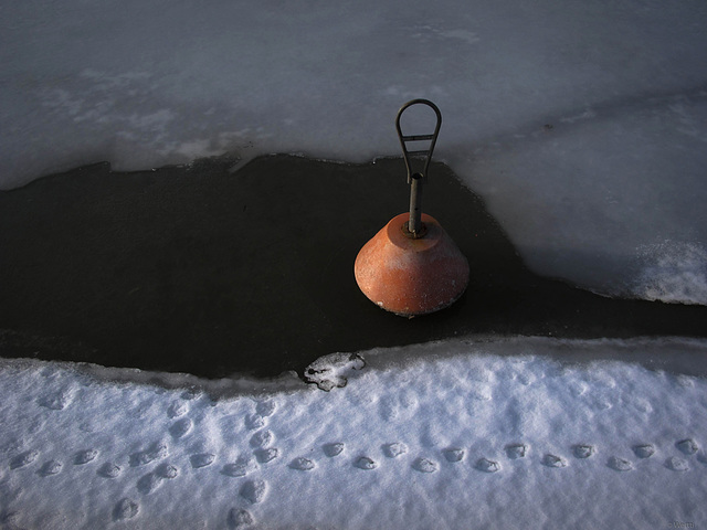 mooring buoy