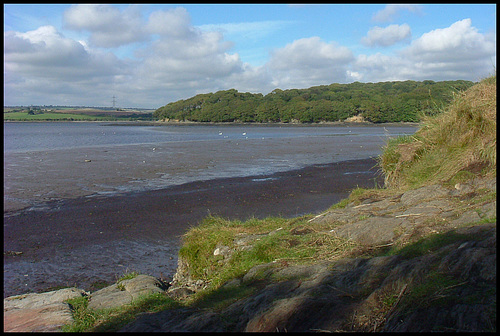 low tide at Warren Point