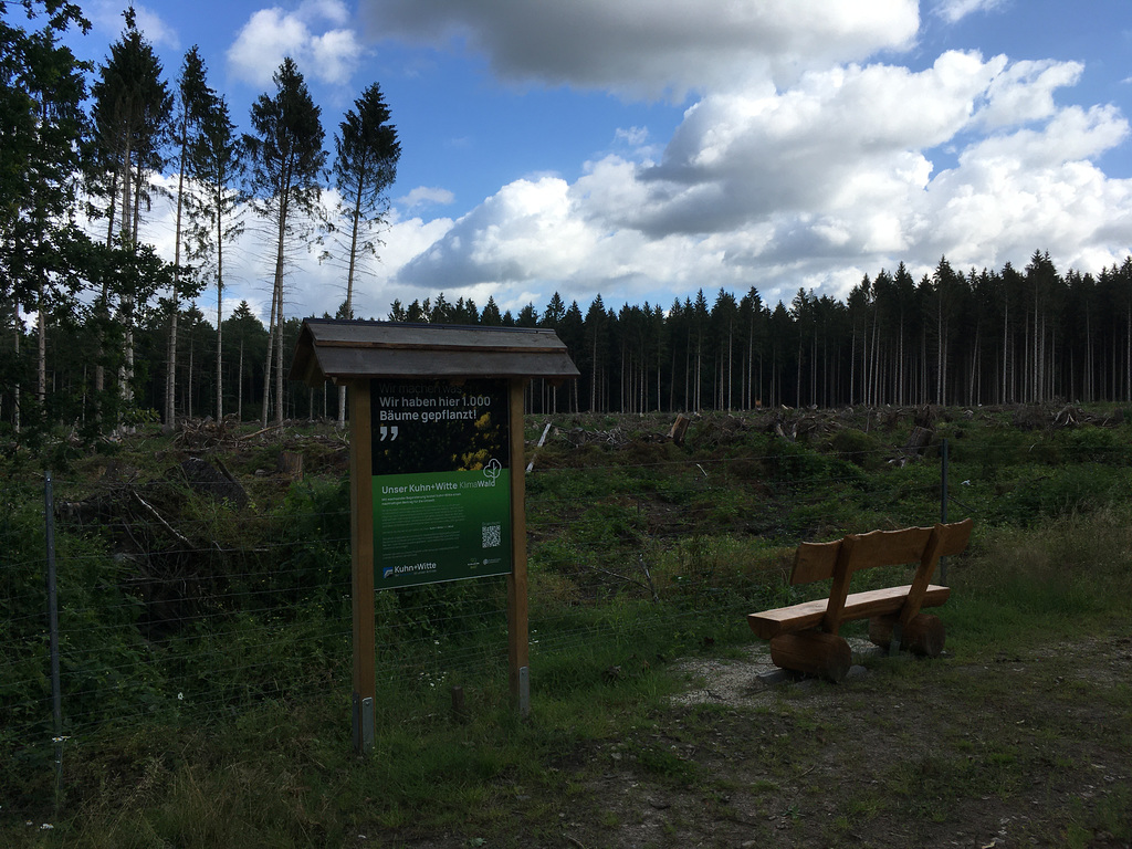 Wird das wieder der Stuvenwald?