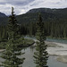 am Bow River (© Buelipix)