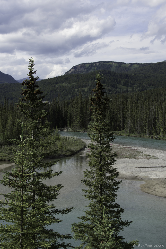 am Bow River (© Buelipix)