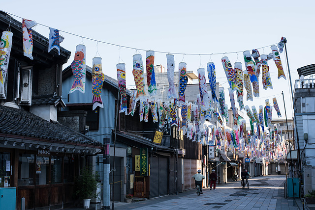 Street full of flying carps