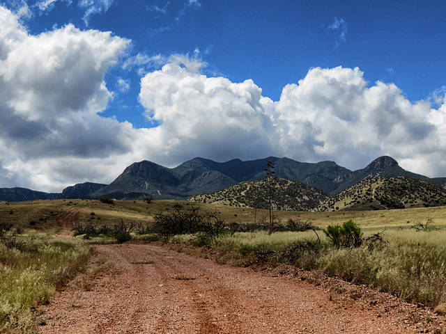 The Huachuca Mountains