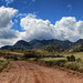 The Huachuca Mountains