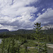 am Bow River (© Buelipix)