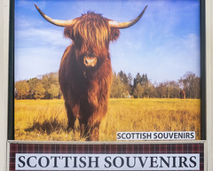 Scottish Souvenirs