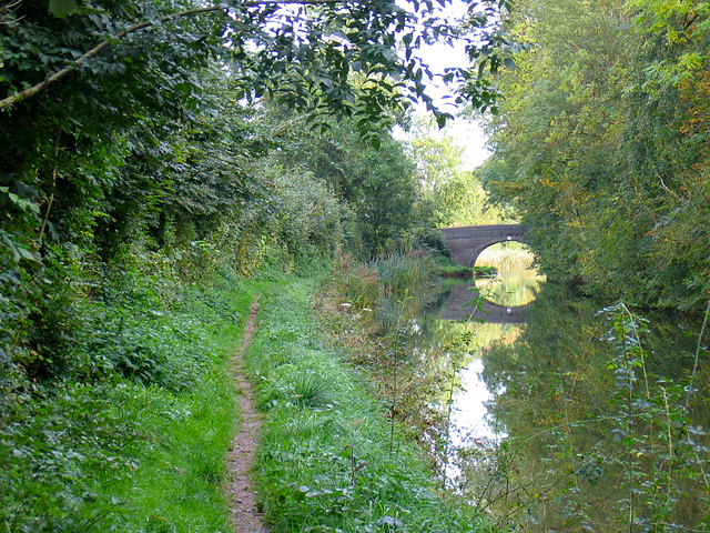 The Ashby Canal between Shackerstone and Snarestone