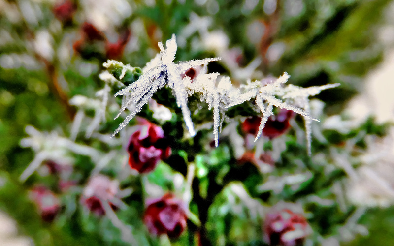 Frost-2.  ©UdoSm