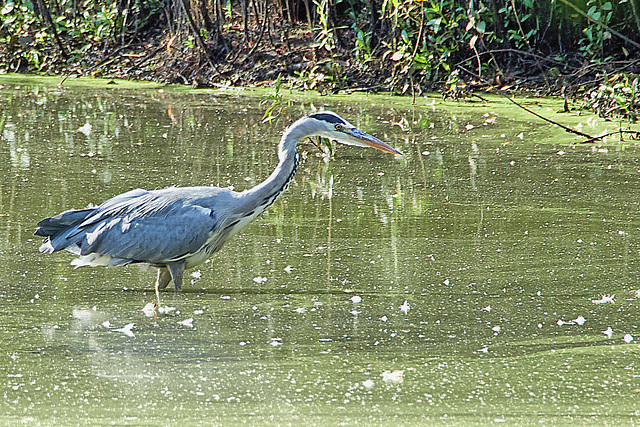 Fishing In Deep Water