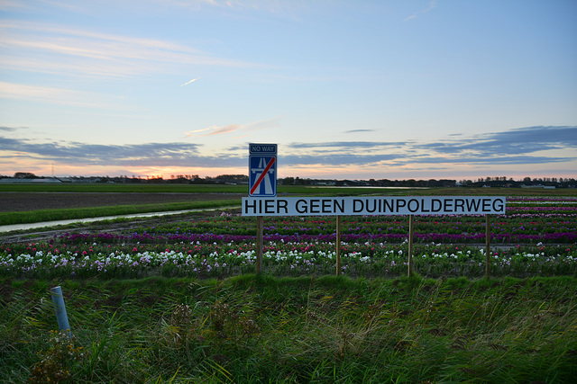 Hier geen Duinpolderweg