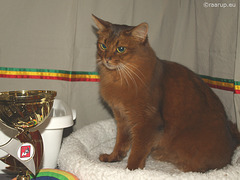 Caithlin poses with her Nomination trophy