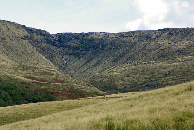 Kinder Downfall