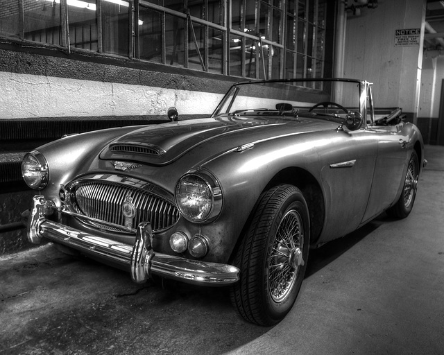 Austin Healy