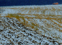 a Car........in a field