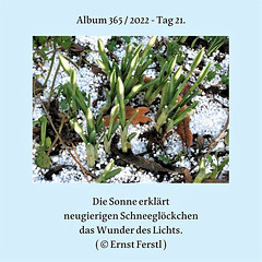 Album 365 / 2022 - Tag 21.