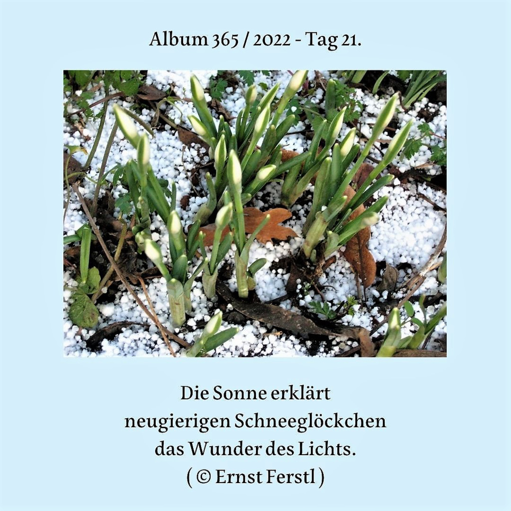 Album 365 / 2022 - Tag 21.