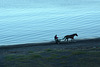 Early morning ride on the beach