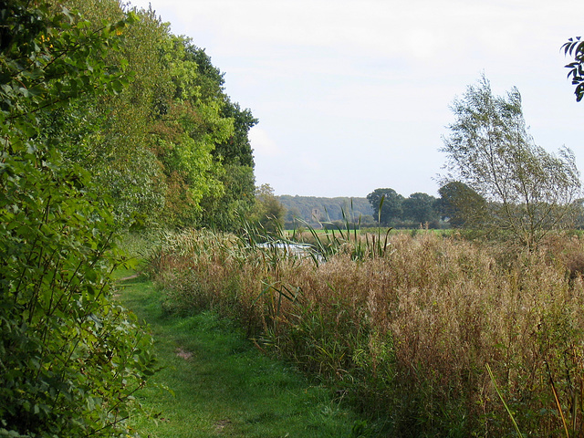 The Ashby Canal between Shackerstone and Snarestone