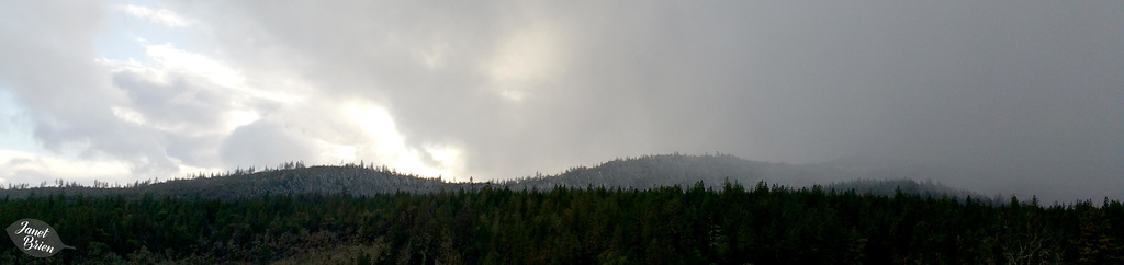 snowing-in-the-afternoon
