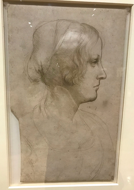 Study of a Woman